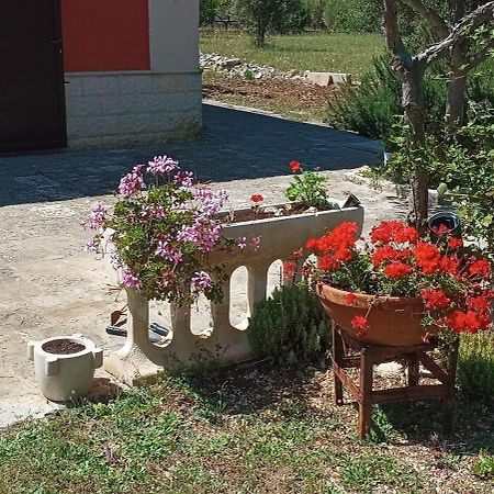 Casa Alle Vigne ポリニャーノ・ア・マーレ エクステリア 写真