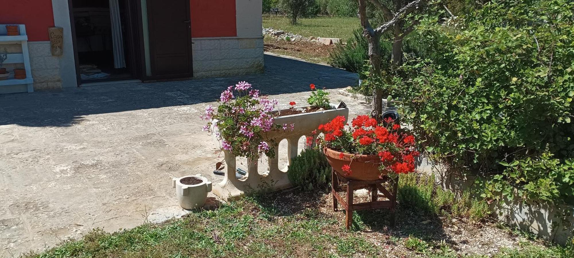 Casa Alle Vigne ポリニャーノ・ア・マーレ エクステリア 写真