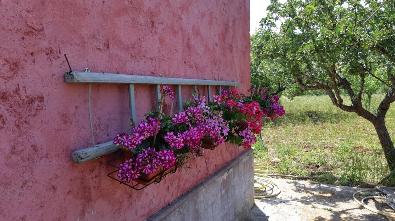 Casa Alle Vigne ポリニャーノ・ア・マーレ エクステリア 写真